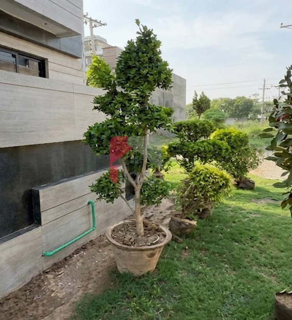 10 Marla Corner House for Sale in Block J, LDA Avenue One, Lahore - Thumbnail 5